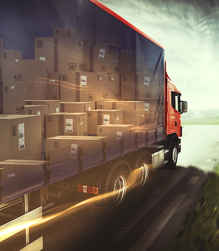 transporte terrestre